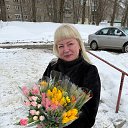 ���� ����, ���������, 46 ��� - ��������� 17 ������ 2026 � ������ ���� ����������