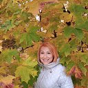 ���� ��������, ������, 61 ��� - ��������� 23 ������� 2023 � ������ ���� ����������