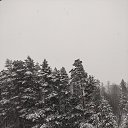 ���� �����, ������, 41 ��� - ��������� 28 ������� 2023 � ������ ���� ����������