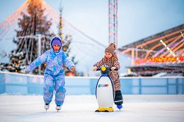 �����������