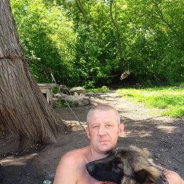 , 41, 