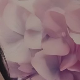 Iren, ������, 49 ���