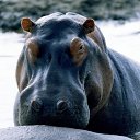 ���� ������, ������ - ��������� 12 ���� 2024 � ������ ���� ����������