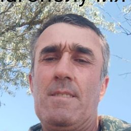  , , 53 