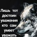 ���� ������, ������, 39 ��� - ��������� 6 ������� 2026 � ������ ���� ����������