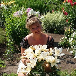 ������, ������, 48 ���