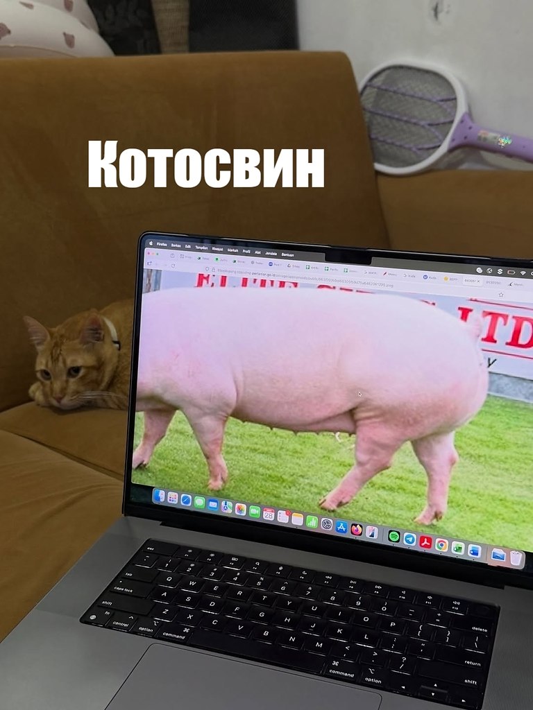 ��� ���� � ����� �� �� - 17 ������� 2025 � 18:03 - 3