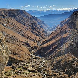 �����, �������, 52 ����