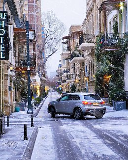 �����������