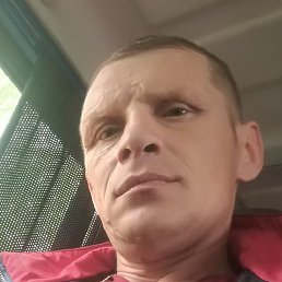 ����, �����, 41 ���