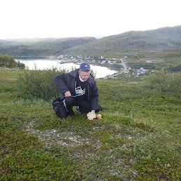 ���� �������, ����������, 67 ��� - ��������� 24 ����� 2026