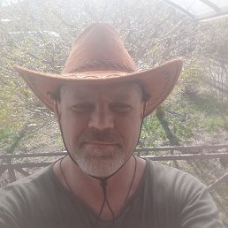 , 54, 