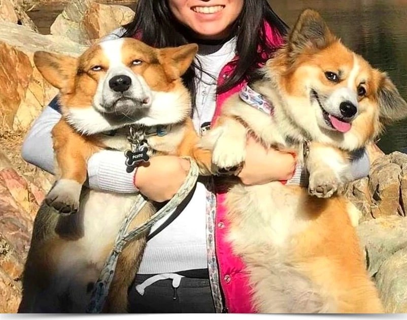    ,   .   . ...