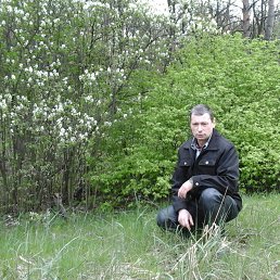 ���� ������, �����, 55 ��� - ��������� 11 ������� 2026