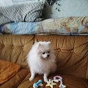 ���� �������, ������������ - ��������� 14 ������� 2025