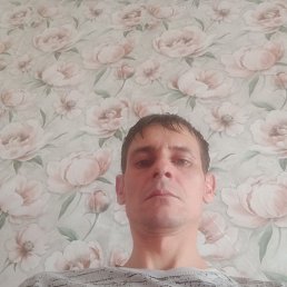 ���� ����, ������, 34 ���� - ��������� 29 ������� 2026