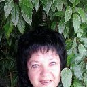 ���� ����, ������������, 67 ��� - ��������� 5 ���� 2024 � ������ ���� ����������