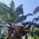 ���� �������, ������, 51 ��� - ��������� 15 ������� 2025 � ������ ���� ����������