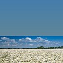 ���� �����, ����� - ��������� 25 ������� 2026