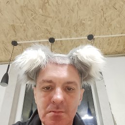 �����, 46 ���, �����-���������