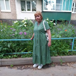 �����, ������, 71 ���