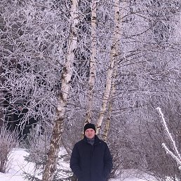 ���� ������, �����, 57 ��� - ��������� 7 ������� 2024