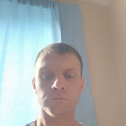 , 40 , 