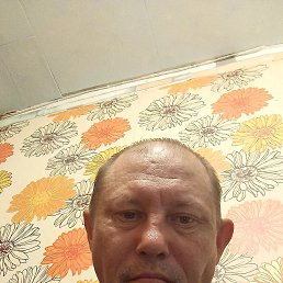 , 43, 