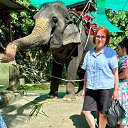 ���� ��������, ������� - ��������� 14 ���� 2024 � ������ ���� ����������