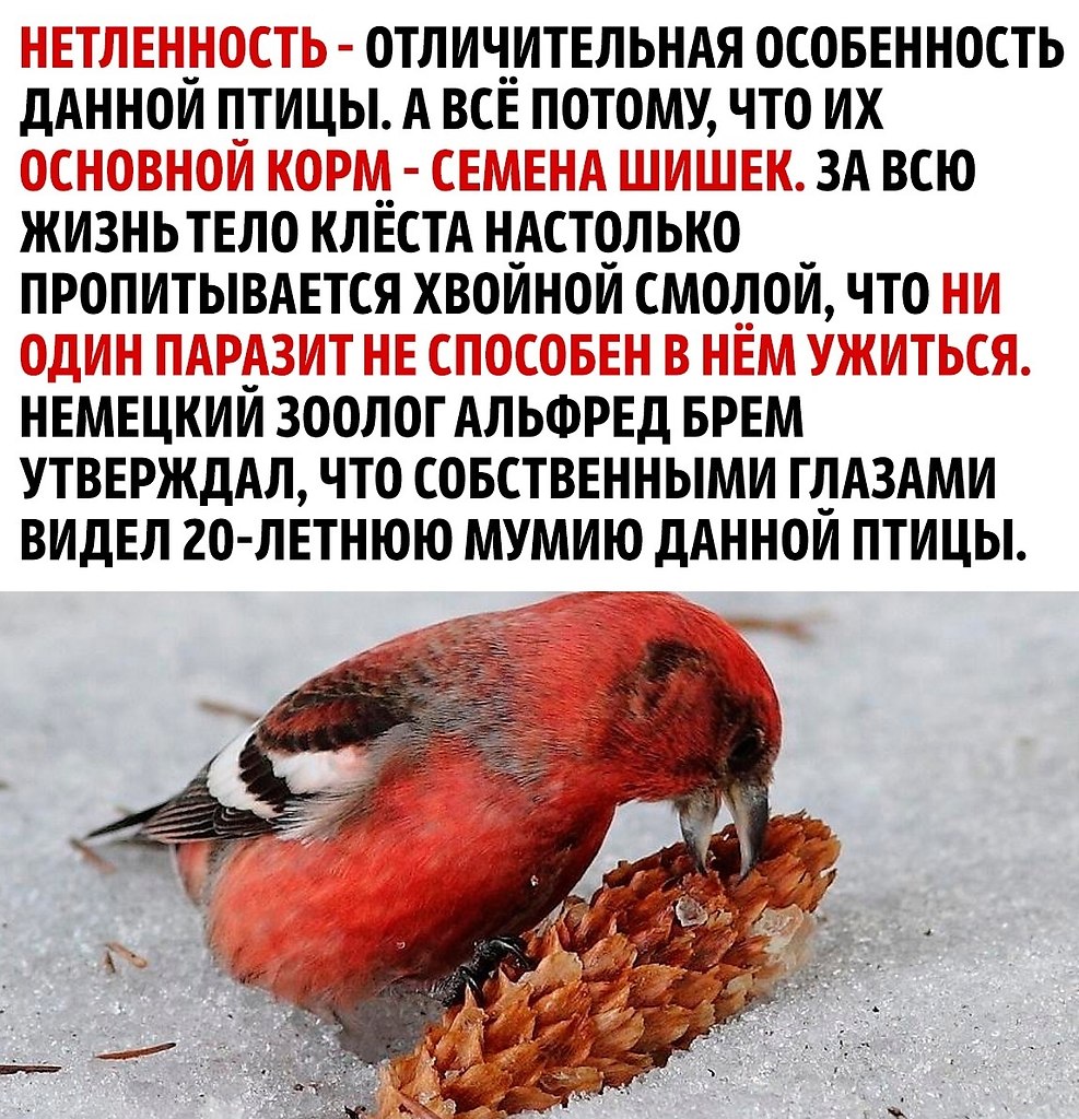      - 2