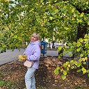 ���� �������, ������-��-����, 58 ��� - ��������� 27 ������� 2025 � ������ ���� ����������