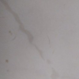 ������, ������, 35 ���