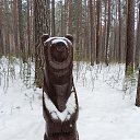 ���� ���������, ������������ - ��������� 28 ������ 2025 � ������ ���� ����������