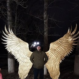 ����, ������, 40 ���