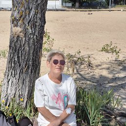 ���� ������, ������, 50 ��� - ��������� 13 ������ 2026