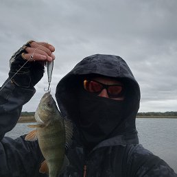 , 28, 