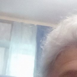 ����, ���������, 65 ���