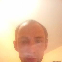 , 33, 