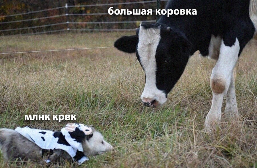    - 8  2024  14:36