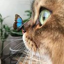 ���� �, ������� - ��������� 13 ������� 2025 � ������ ���� ����������