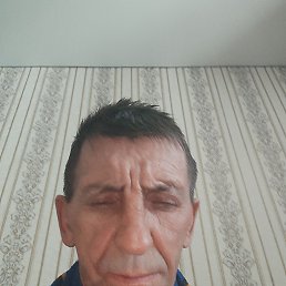 , 55, 