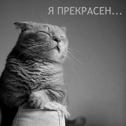 ��������, ������, 39 ���