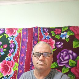 , 57, 