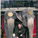 ���� ����, ������, 66 ��� - ��������� 1 ������ 2024 � ������ ���� ����������