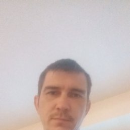 ���� ����, ������ ��������, 37 ��� - ��������� 4 ������ 2026