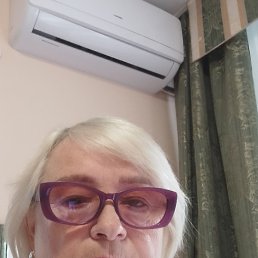 , 65, 