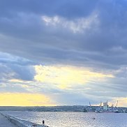 �����, 36 ���, ����