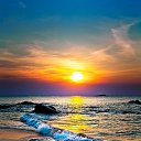 ���� ����, ������ - ��������� 11 ���� 2024 � ������ ���� ����������