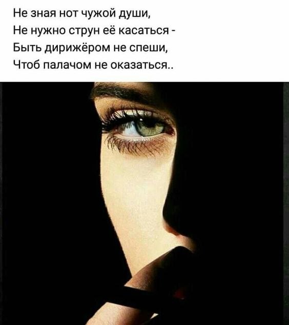   - 11  2024  23:13