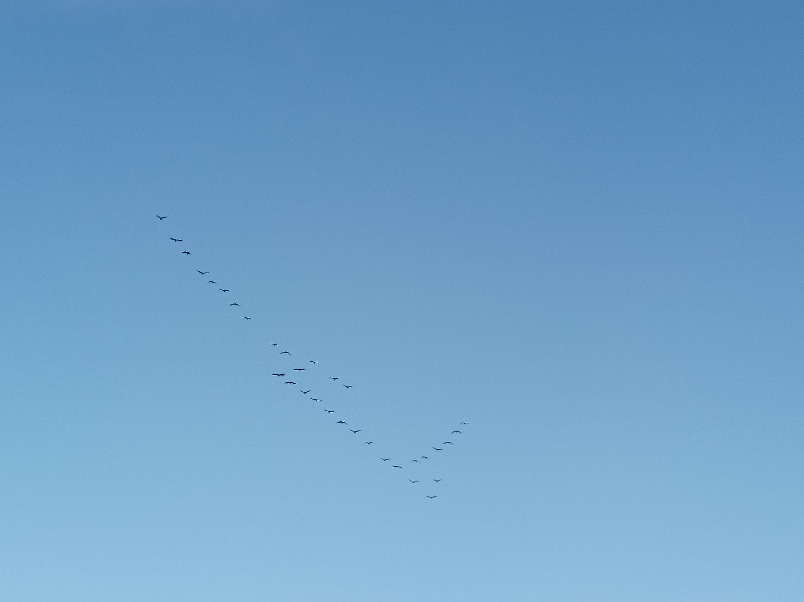 Juri - 7  2025  19:22 - 6